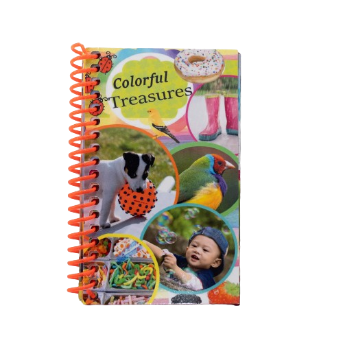 Colorful Treasures Children's Book